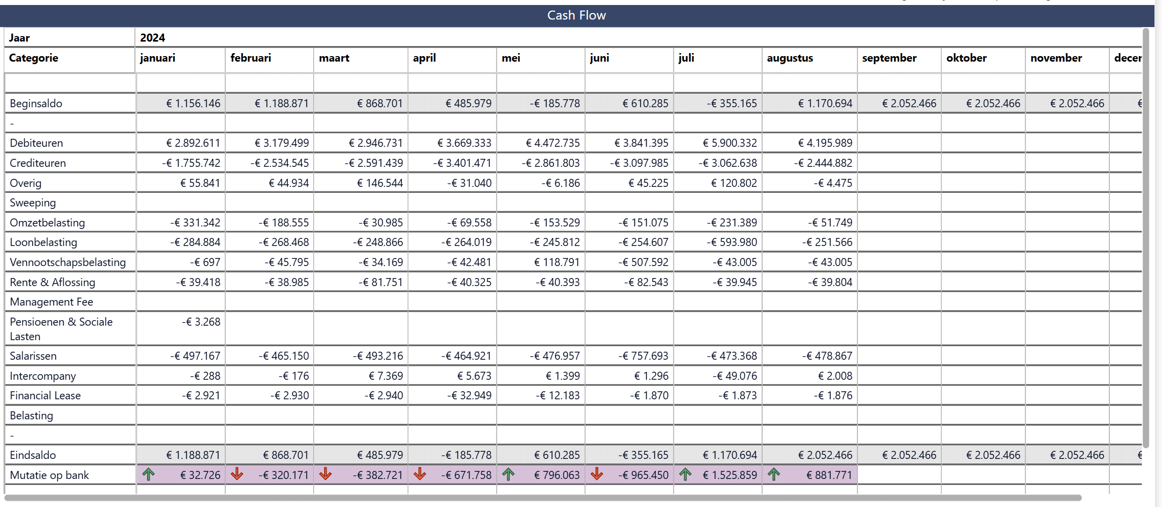 Managementrapportages dashboards in Power BI voor cashflow beheer